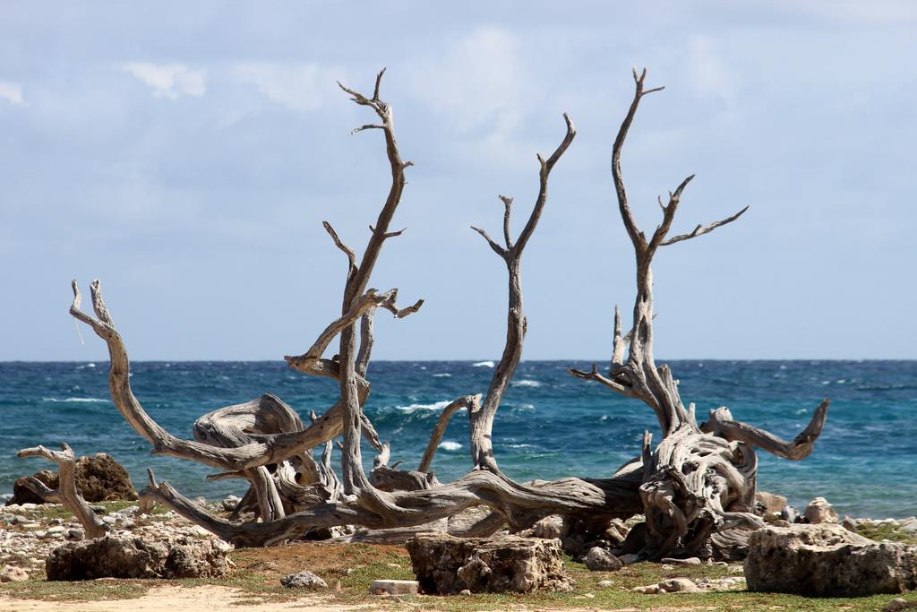 Wanapa Lodge Bonaire Екстериор снимка