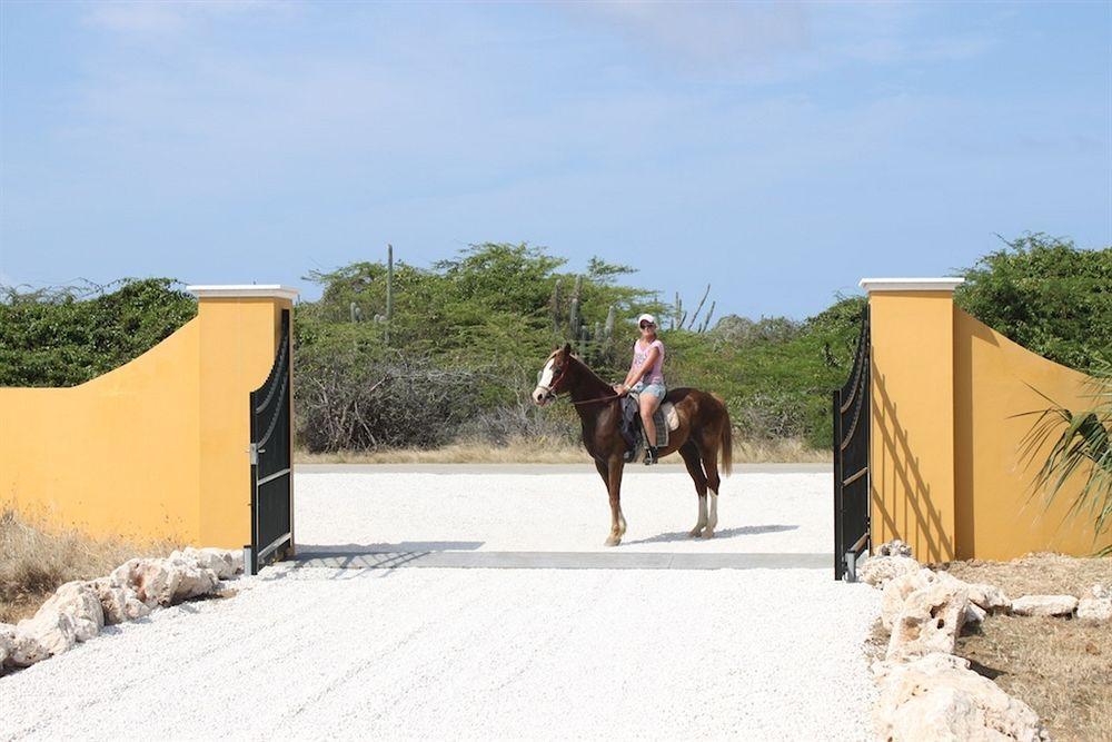 Wanapa Lodge Bonaire Екстериор снимка