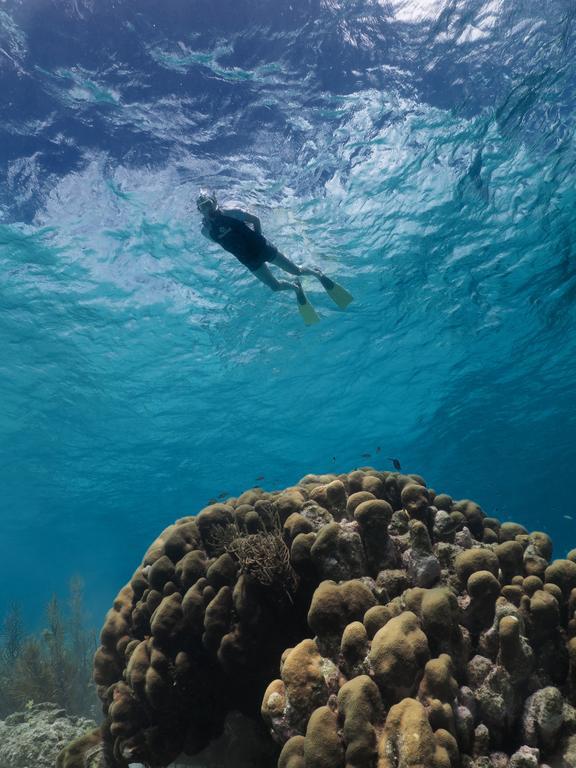 Wanapa Lodge Bonaire Екстериор снимка